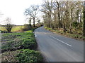 Hargham Road beside Church Belt