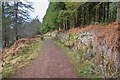 NH7479 : Aldie Burn Trail by valenta