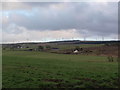 Fields and road near Stonebyres Farm