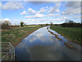 The River Bain/Horncastle Canal above Haltham Lock