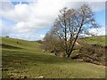 Valley below Sentrys Farm