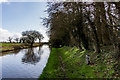 Fallen Tree and Mile Marker 28-11, Shropshire Union Canal