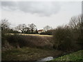 Houses beyond the Car Dyke, Martin