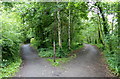 Fife Coastal Path in the Crow Hill Woods