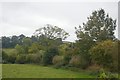 Farmland, Harpswood