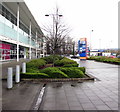 Deciduous trees and evergreen shrubs, Newport Retail Park