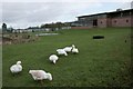 Jamesfield Farm Shop and Restaurant