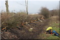 Newly-laid hedge, Central Valley LNR