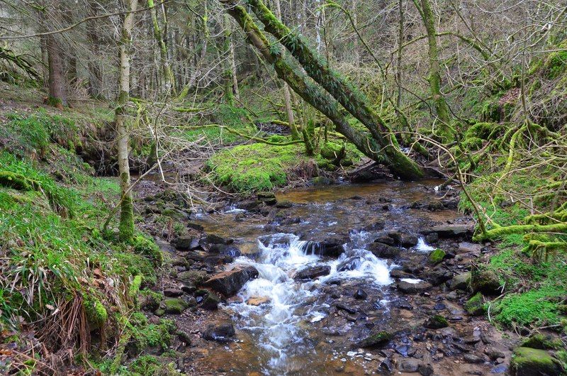 The Gore Water in Currie Wood © Jim Barton cc-by-sa/2.0 :: Geograph ...