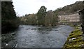 NS8842 : The River Clyde at New Lanark by Richard Sutcliffe