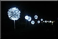 View of dandelion seed lanterns by the path in Chiswick House and Gardens