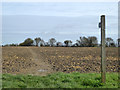 Footpath across a ploughed field