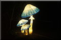 View of mushroom lanterns in the Lightopia Festival in Chiswick House and Gardens #4