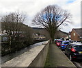 Cars, pavement, wall, trees and river, Treorchy