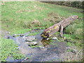 A small group of stepping stones