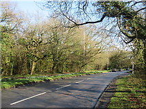 TQ5639 : Langton Road (A264) at Rusthall Common by Malc McDonald
