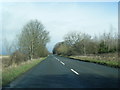 A46 near Whitewell Wood