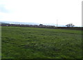 Grassland off Upper Heaton Lane (B6118)