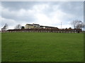 Grazing towards Moor Top Farm