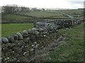 Drystone walls between Hunderthwaite and Hury