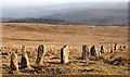 SX6362 : Stalldown prehistoric stone row by Sandy Gerrard