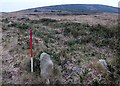 SX7679 : Trendlebere Down prehistoric stone row by Sandy Gerrard