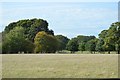 Field by Wissenden Lane