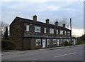 Houses on Westerton Road