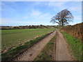 The Robin Hood Way near Ravenshead