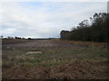 Ridged field off Chapel Lane, Ravenshead