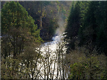 NS8842 : Falls of Clyde, Dundaff Linn by David Dixon
