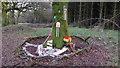 H8630 : The Magic Fairy Tree in Darkley Forest by Sean Davis