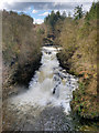 NS8841 : Corra Linn, The Falls of Clyde by David Dixon