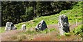 NT9500 : Five Kings prehistoric stone row by Sandy Gerrard