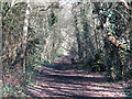 The course of the former Mill Hill East to Edgware railway line west of Devonshire Road (6)