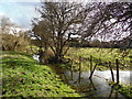 SP8901 : River Misbourne near Mobwell (2) by Christina Hillas