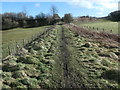 Infilled bridge, Tees Railway Path