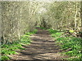 The course of the former Mill Hill East to Edgware railway line west of Devonshire Road (2)