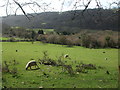 Down the valley to Weavern Lane