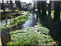 Stream at Faversham