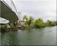 TL4659 : Willows near Riverside Bridge by John Sutton