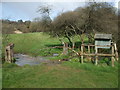 A wet walk near Fountain Wood