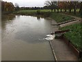 SP2965 : River level has risen a little after rain, Warwick by Robin Stott