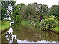 Canal at Acton Trussell in Staffordshire