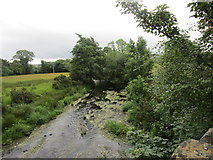 W2689 : River Finnow at Millstreet by Jonathan Thacker