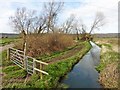 Parish Brook