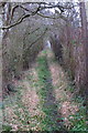 Footpath to Cheddington