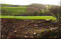 Farmland, Longcombe