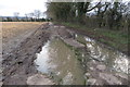 Bridleway towards the canal