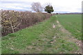 SP9014 : Footpath to Wilstone Green by Philip Jeffrey